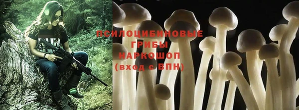 твердый Липки
