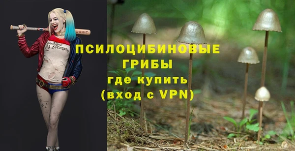 хмурый Лихославль