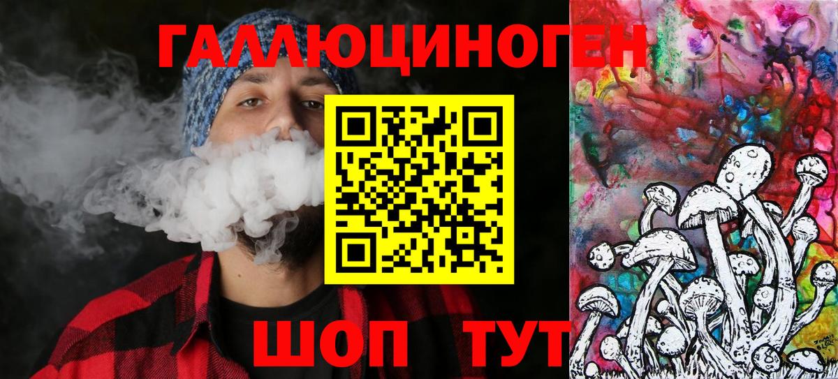 Галлюциногенные грибы Psilocybe Батайск