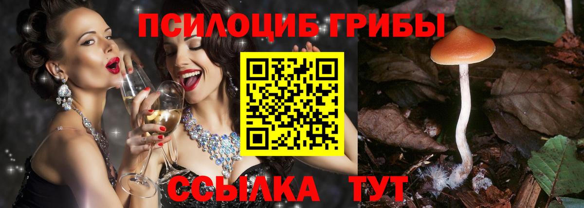 Галлюциногенные грибы GOLDEN TEACHER  Вход с VPN  дарнет шоп  Батайск 